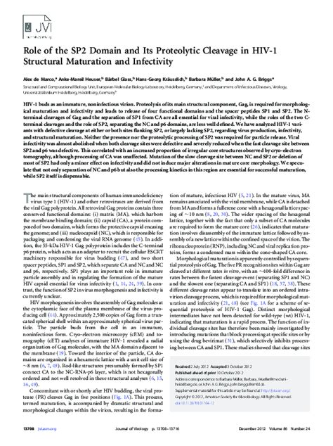 Pdf Role Of The Sp2 Domain And Its Proteolytic Cleavage In Hiv 1 Structural Maturation And