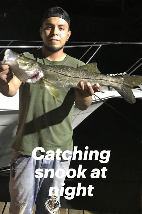 Best Lure For Snook At Night