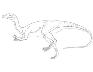 Disegni Di Velociraptor Da Colorare E Stampare Gratis