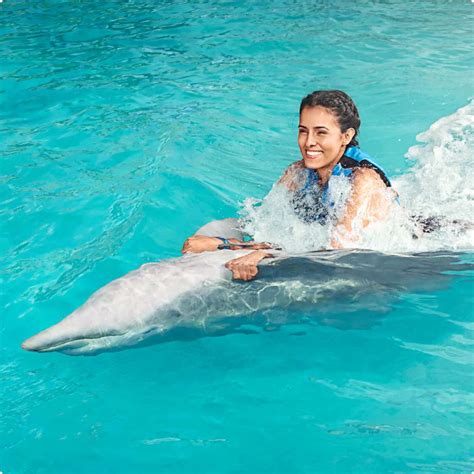 Swim with Dolphins in Mexico & The Caribbean | Dolphin Discovery