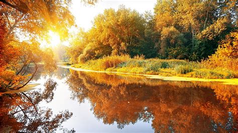 HD wallpaper: ultra hd 8k resolution 7680x4320 natures sunshine, autumn ...