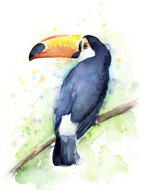 Toucan Watercolor Beach Towel By Olga Shvartsur Pixels