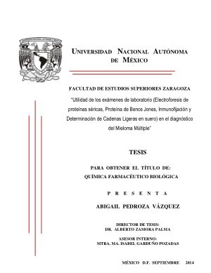 Utilidad De Los Ex Menes De Laboratorio Electroforesis De Prote Nas