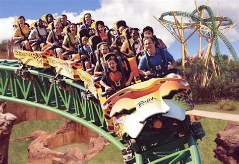 Busch Gardens Tampa Rides Height Requirements - Beautiful Insanity