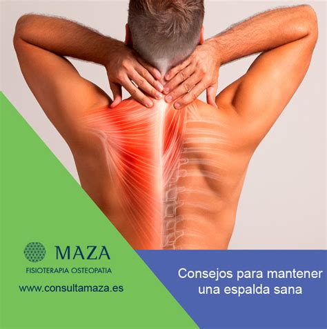 CONSEJOS PARA MANTENER UNA ESPALDA SANA Maza Fisioterapia Osteopatia