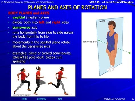 Sagittal Axis Of Rotation