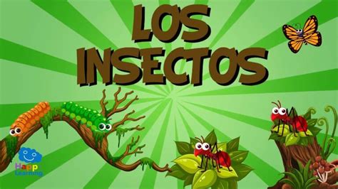 Curiosidades De Insectos Actualizado Noviembre 2022