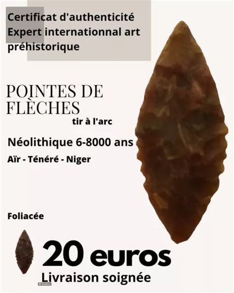 Pointe De Fl Che Silex N Olithique Du Sahara Niger Eur Picclick Fr