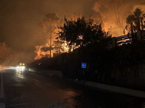 El Fuego Ha Calcinado Cerca De 3000 Hectáreas En Valencia