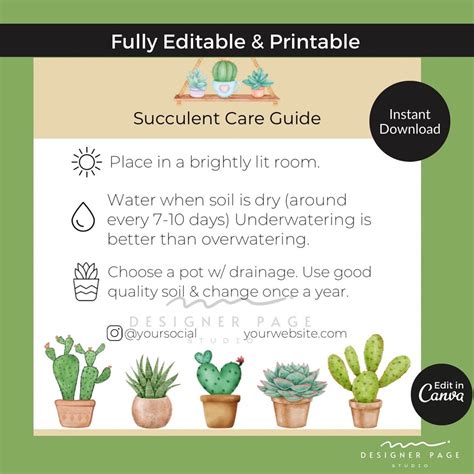 Editable Succulent Care Guide Template Plant Care Cards Tag Printable Labels Canva Template