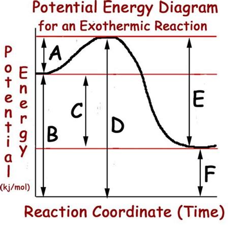 Two Step Exothermic Reaction Diagram