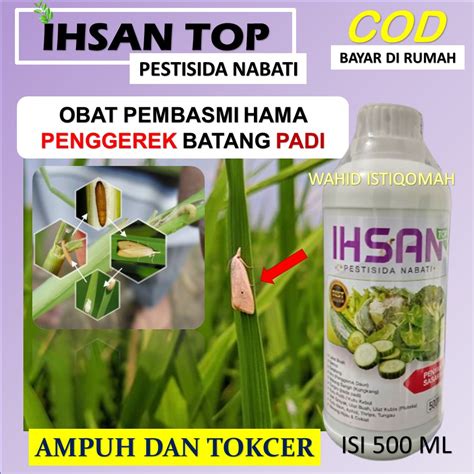 Jual PROMO COD Obat Hama Padi Paling Ampuh Sudah Terbukti Mampu Untuk