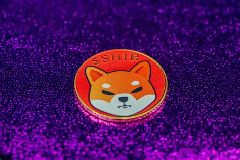 Shiba Inu Hundreds Of Projects To Use Shibarium And Build The Next