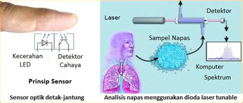 Pengertian Sensor Optik Dan Contohnya Belajar Elektronika