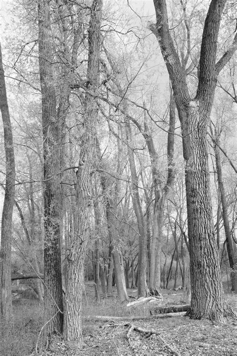 Kettle Moraine State Forest Lapham Peak Unit Fujifilm X