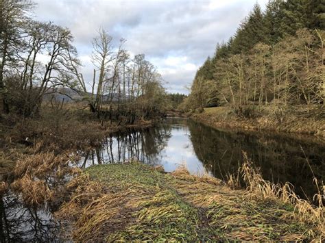 River Forth Gartrenich Moss Richard Webb Cc By Sa 2 0 Geograph