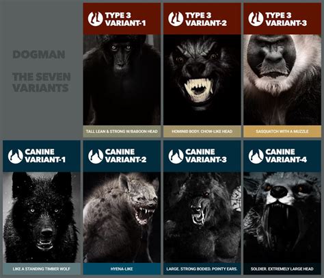 Dogman Types - Sasquatch Chronicles