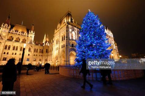 947 Christmas Tree Of Hungary Stock Photos High Res Pictures And