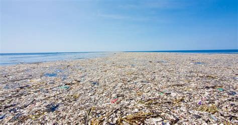 Suivre Le Plastique Présent Dans La Mer Cest Possible Avec Cette