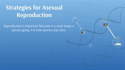 Strategies For Asexual Reproduction By Liam Duncan On Prezi