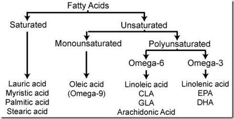 Example of Saturated Fatty acids and Unsaturated Fatty acids