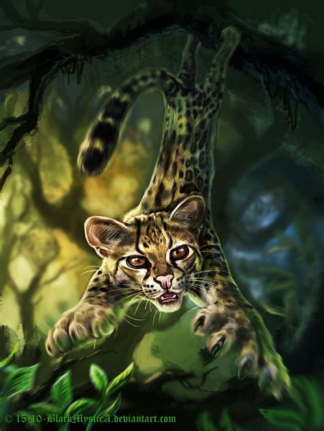 Felidae The Margay Leopardus Wiedii By Blackmystica Deviantart