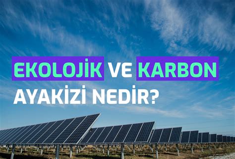 Ekolojik Ve Karbon Ayak Zi Nedir Semtrio