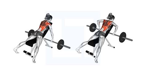 Barbell Incline Row - Guide, Benefits, and Form