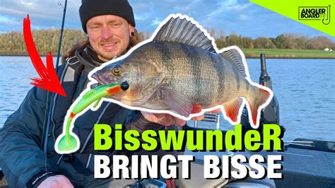 Barsch Und Zander Im Winter Bisswunder Bringt Bisse Raubfischangeln