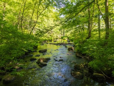 Hiking in Connecticut State Parks | Connecticut State Parks and Forests