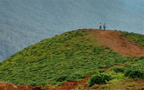 Mandalpatti in Coorg is Open for Tourists Again, after Lockdown ...