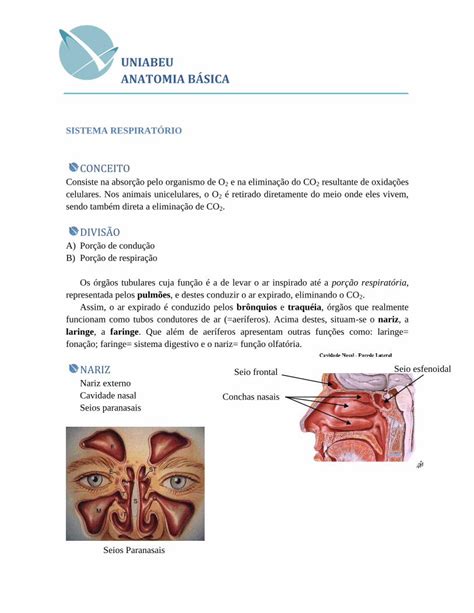 PDF Sistema respiratório 2 DOKUMEN TIPS