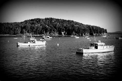 Bar Harbor Photograph By William Joseph Fine Art America