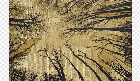 Painting Forest Ecosystem Wood M Vt Ancient Wind Pattern Branch