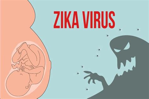 Things You Need To Know About Zika Virus And Pregnancy Health