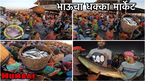 Mumbai fish market 10 दवस खल समदरतन जवळ जवळ 10 12 टन मचछ