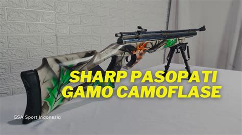 Senapan Angin Sharp Pasopati Gamo Camo Youtube