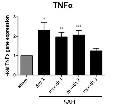 Ashujadhav On Twitter Resolution Of Cerebral Inflammation Following