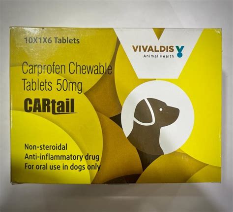 CARPROFEN TABLETS FOR VETERINARY, Prescription at ₹ 300 in Nagpur