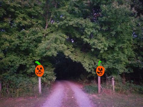 nienie dialogues  buckled