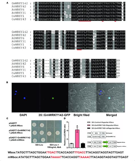 Sequence Analysis Subcellular Localization And Transcriptional