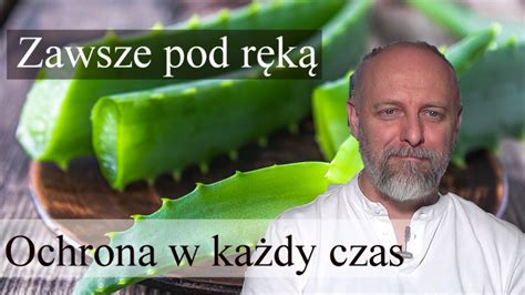 Aloes Jak Zrobi Ma Na Trudno Goj Ce Rany Youtube