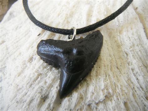 EXTINCT TIGER SHARK TOOTH NECKLACE | Shark tooth necklace, Shark teeth, Tooth necklace