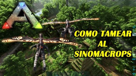 ARK Como Tamear Al SINOMACROPS YouTube