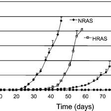 In Vivo Tumor Formation Nude Mice Were Injected Subcutaneously With