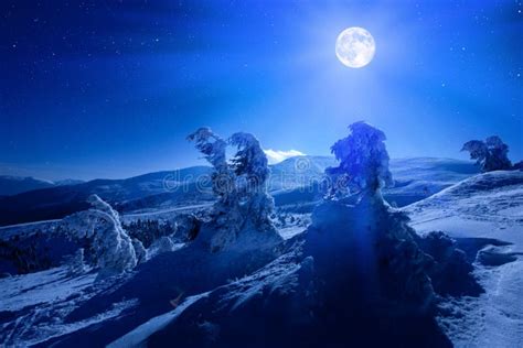 Full Moon Over Winter Deep Forest Covered with Snow on Winter Night ...