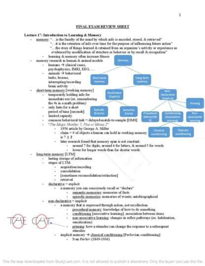 Introduction To Behavioral Neuroscience Psych Final Exam Notes