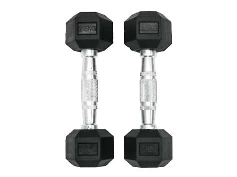 اطلب دامبل بوزن 2 5×2 كغ Rubber Coated Fixed Hex Dumbbell Harley Fitness الأصلي Jomla Ae