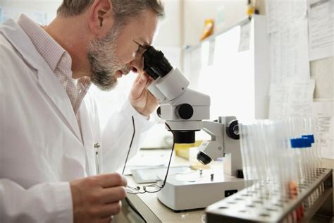 Laboratory Ergonomics | Risk Management & Insurance | Colorado State ... 