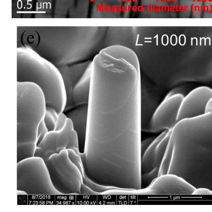 The Microstructure Of Tested Materials And Fabricated Micro Pillars